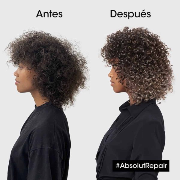 Loreal Professionnel Absolut Repair 2