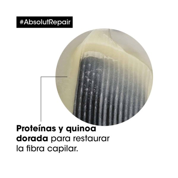 Loreal Professionnel Absolut Repair 5